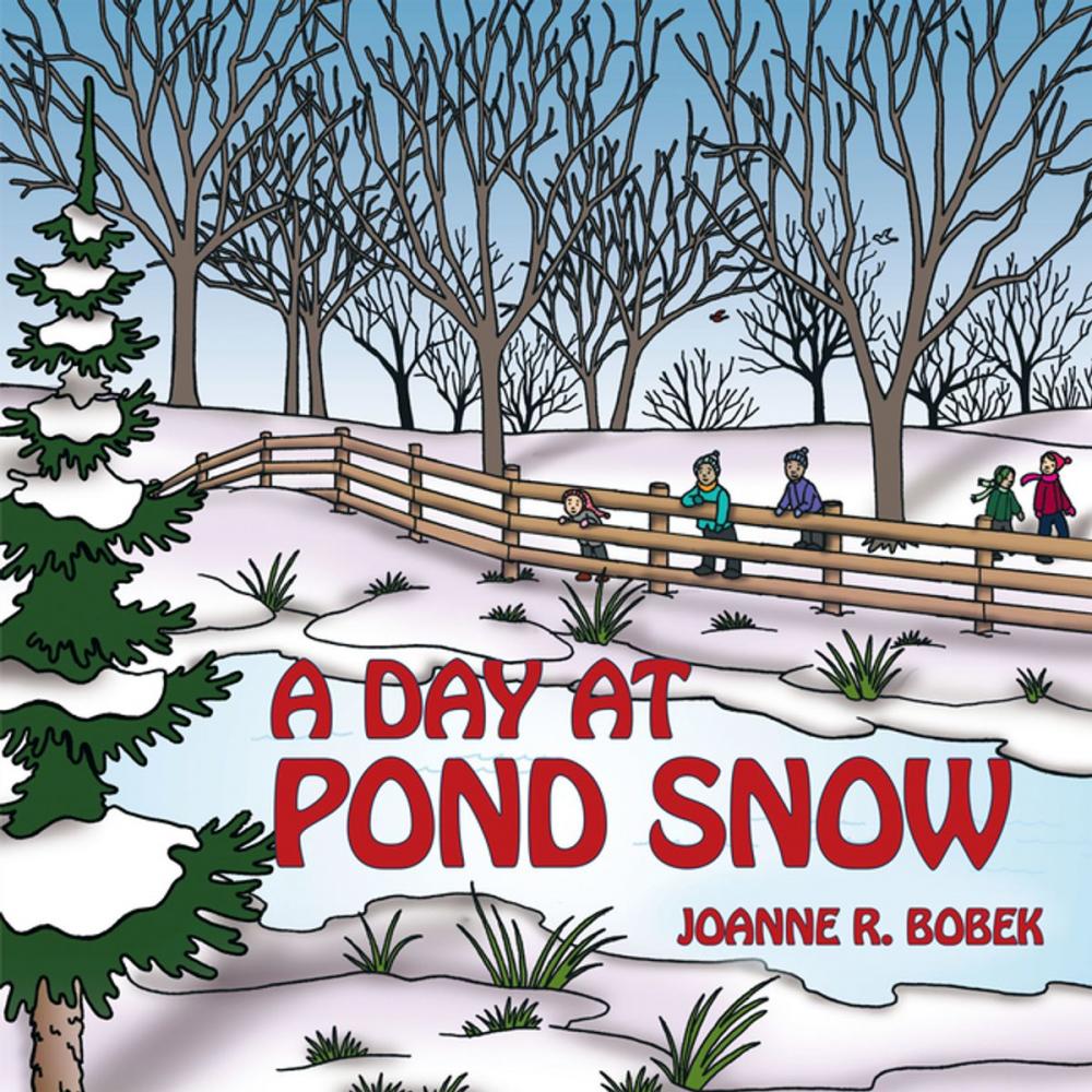 Big bigCover of A Day at Pond Snow