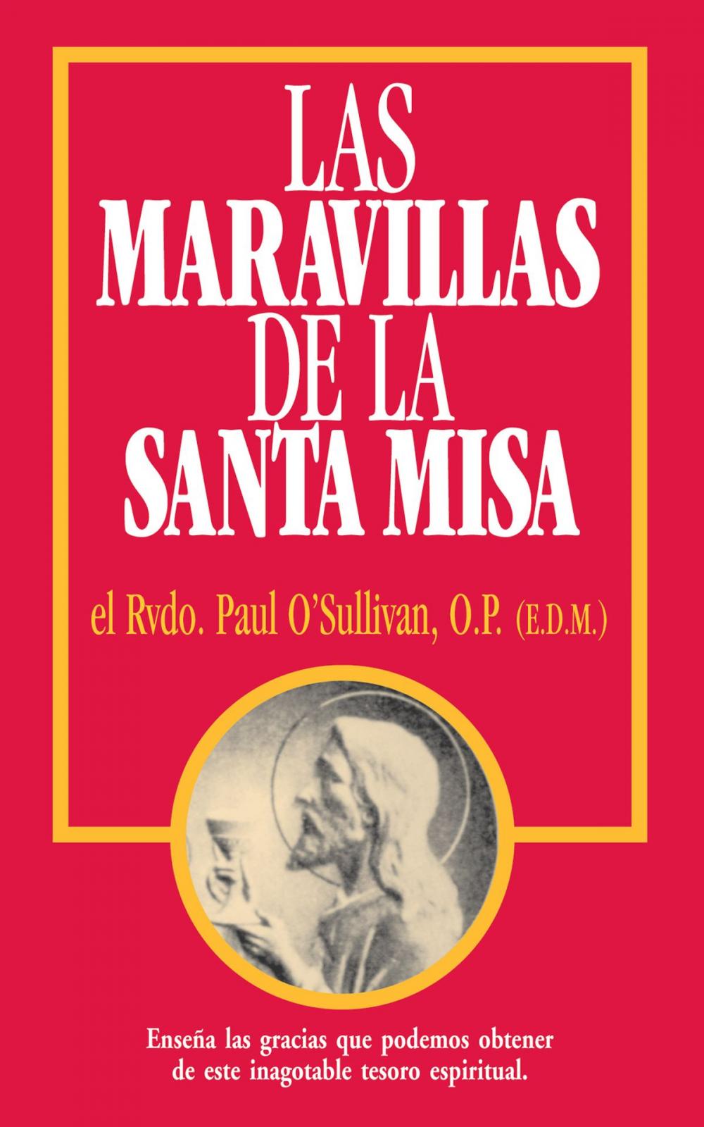 Big bigCover of Las Maravillas de la Santa Misa