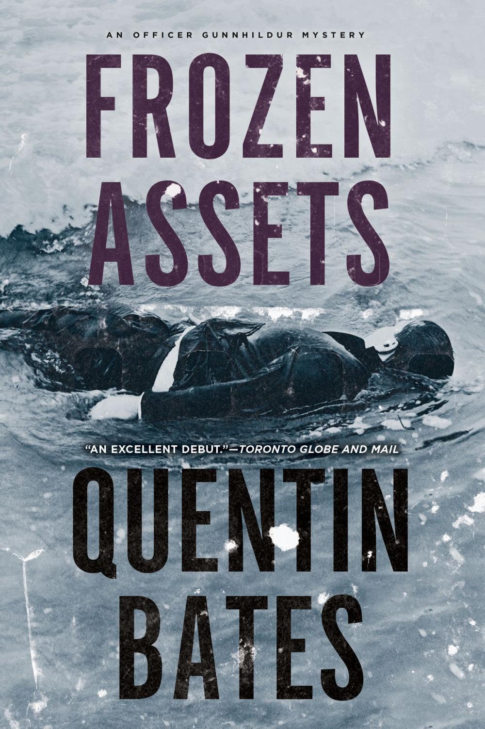 Big bigCover of Frozen Assets