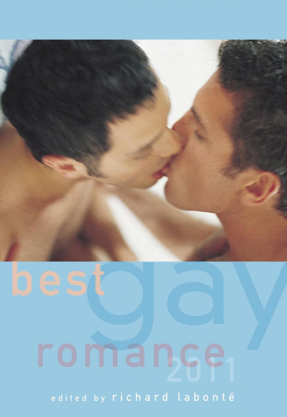 Big bigCover of Best Gay Romance 2011