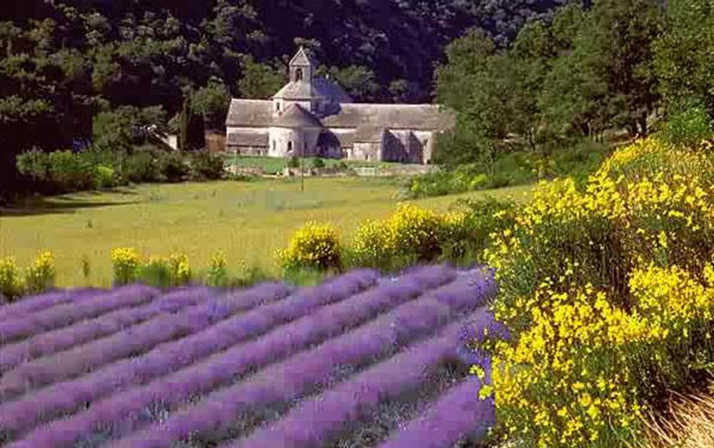 Big bigCover of Avignon Nimes & St. Remy de Provence