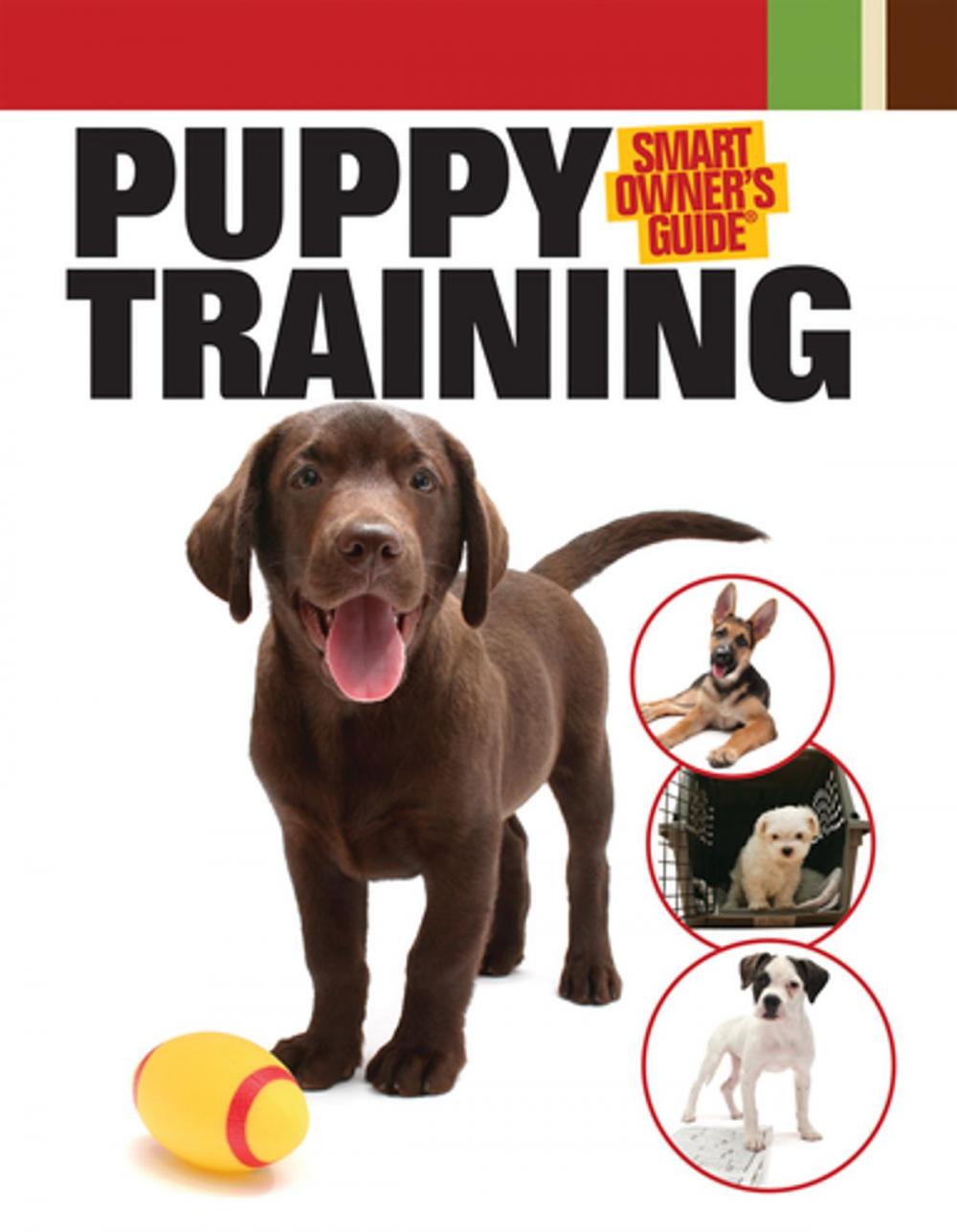 Big bigCover of Puppy Training