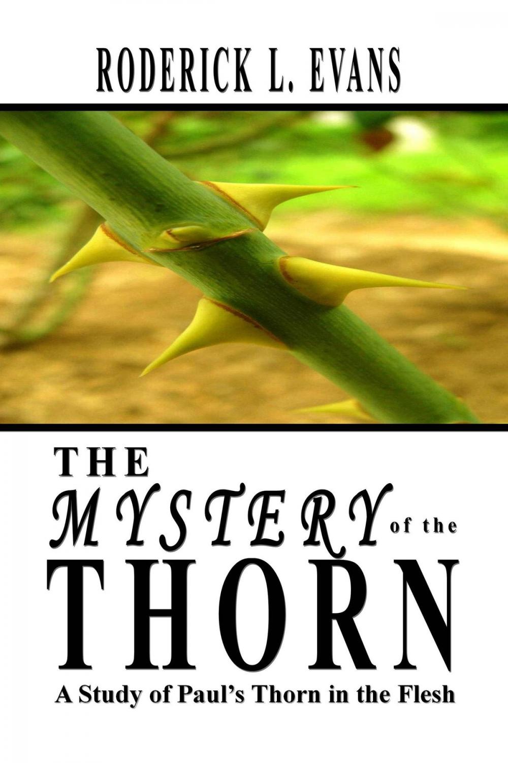 Big bigCover of The Mystery of the Thorn: A Study of Paul's Thorn in the Flesh