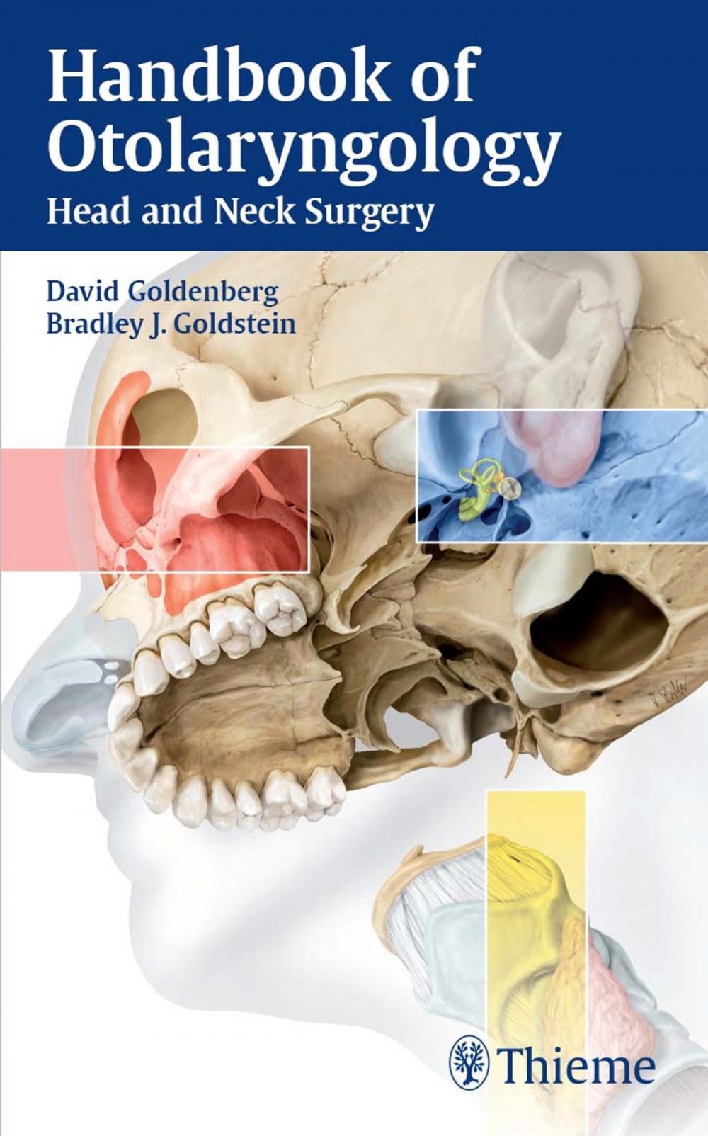 Big bigCover of Handbook of Otolaryngology