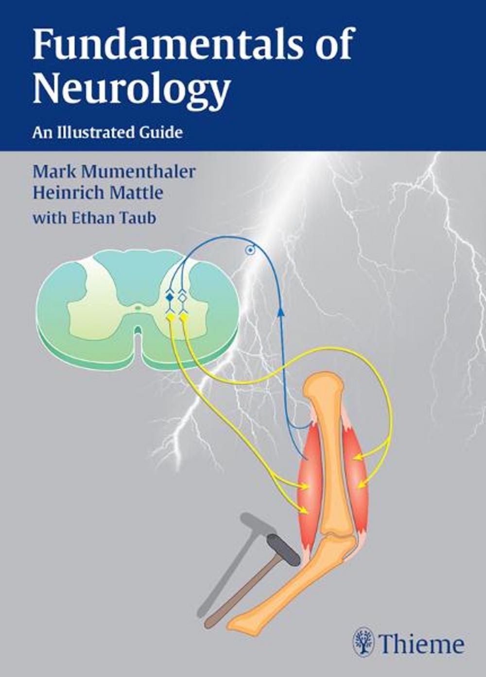 Big bigCover of Fundamentals of Neurology