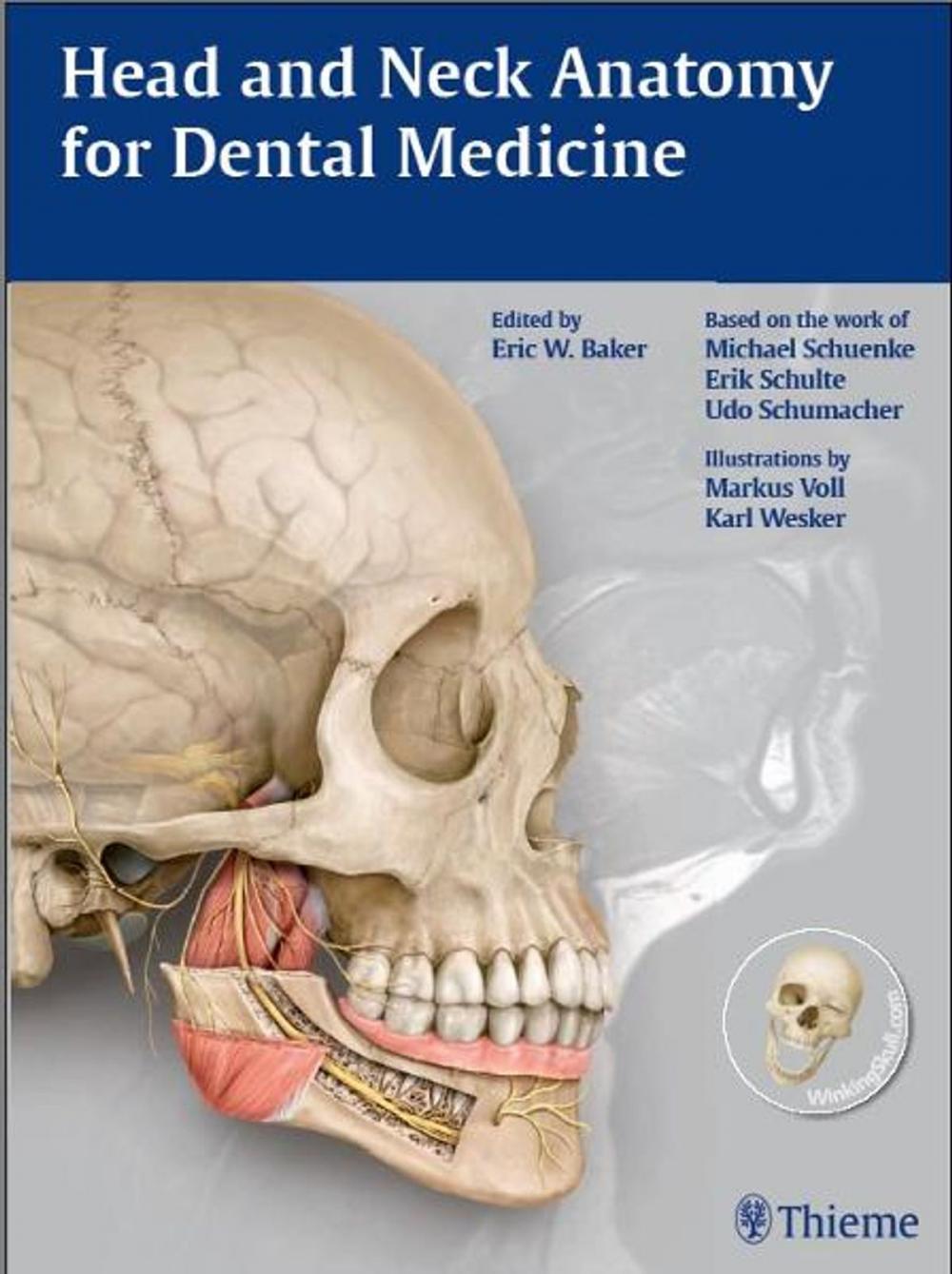 Big bigCover of Head and Neck Anatomy for Dental Medicine