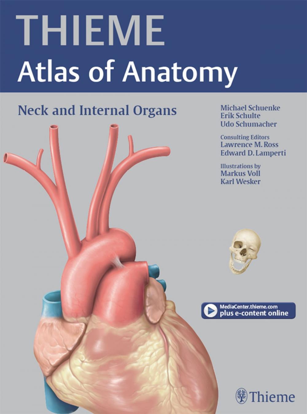 Big bigCover of Neck and Internal Organs (THIEME Atlas of Anatomy)