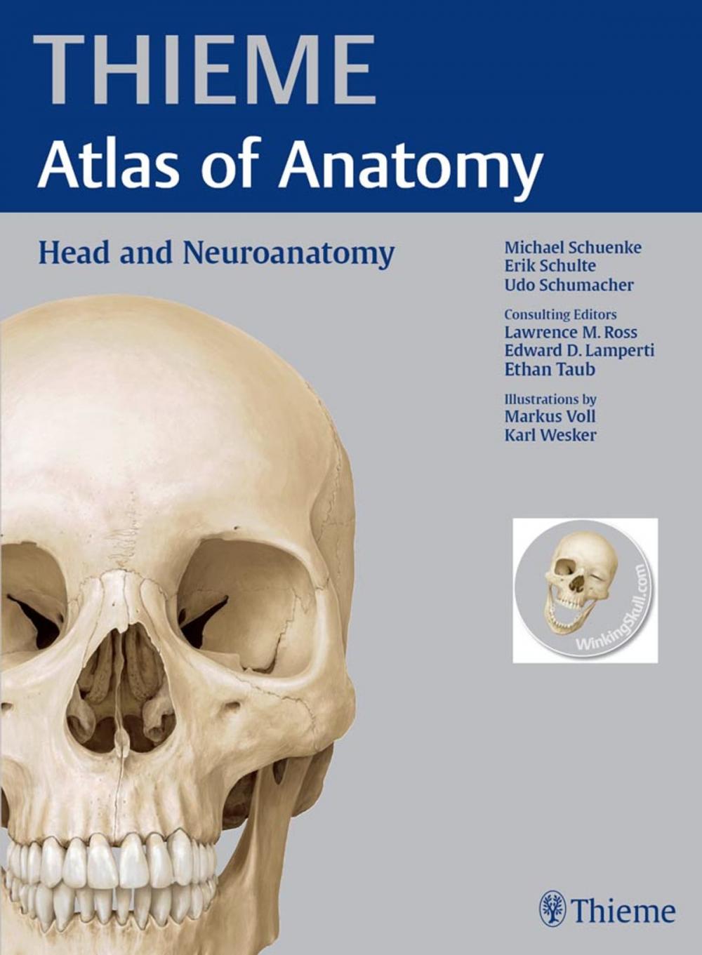 Big bigCover of Head and Neuroanatomy (THIEME Atlas of Anatomy)