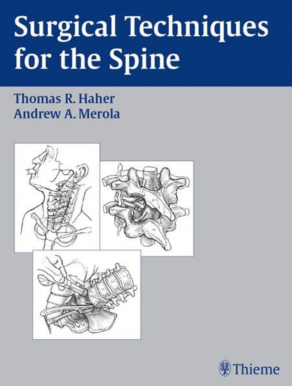 Big bigCover of Surgical Techniques for the Spine