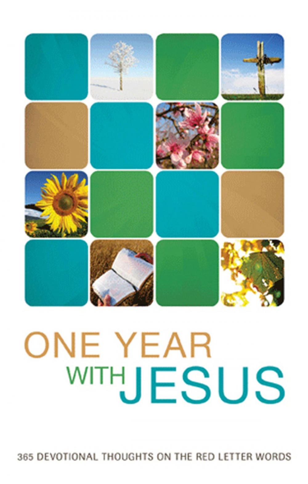 Big bigCover of One Year with Jesus: 365 Devotional Thoughts on the Red Letter Words