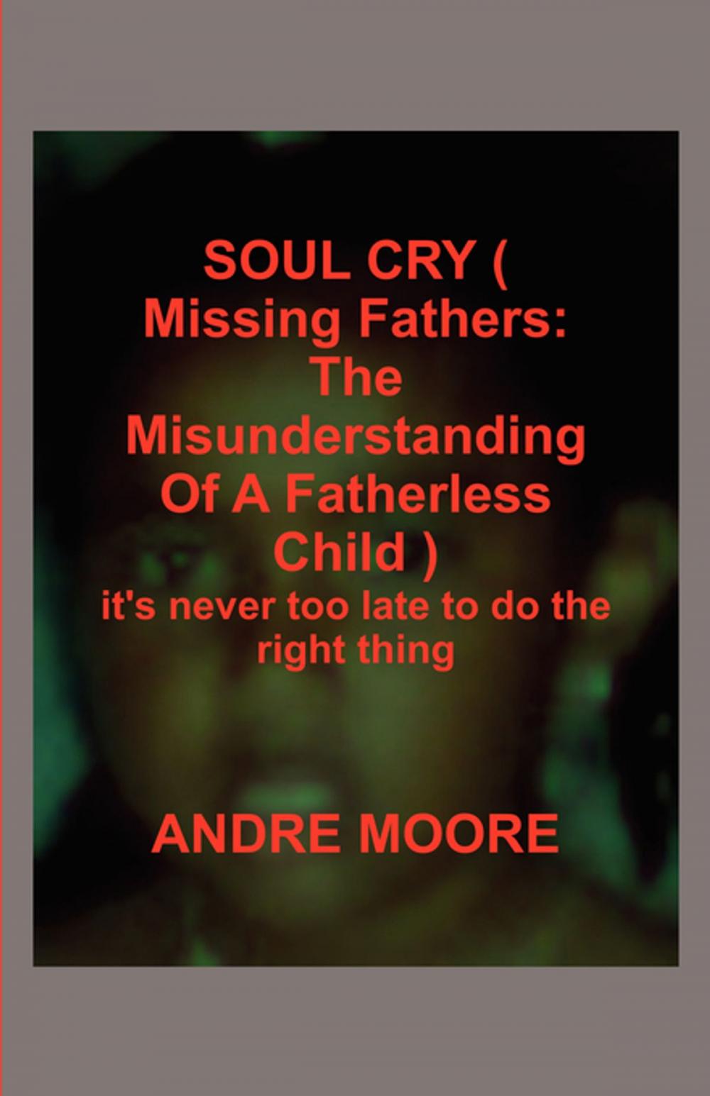 Big bigCover of SOUL CRY ( Missing Fathers: The Misunderstanding Of A Fatherless Child )