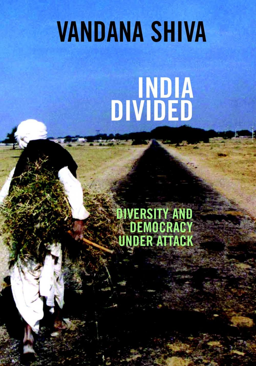 Big bigCover of India Divided