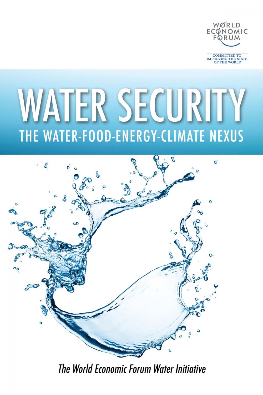 Big bigCover of Water Security