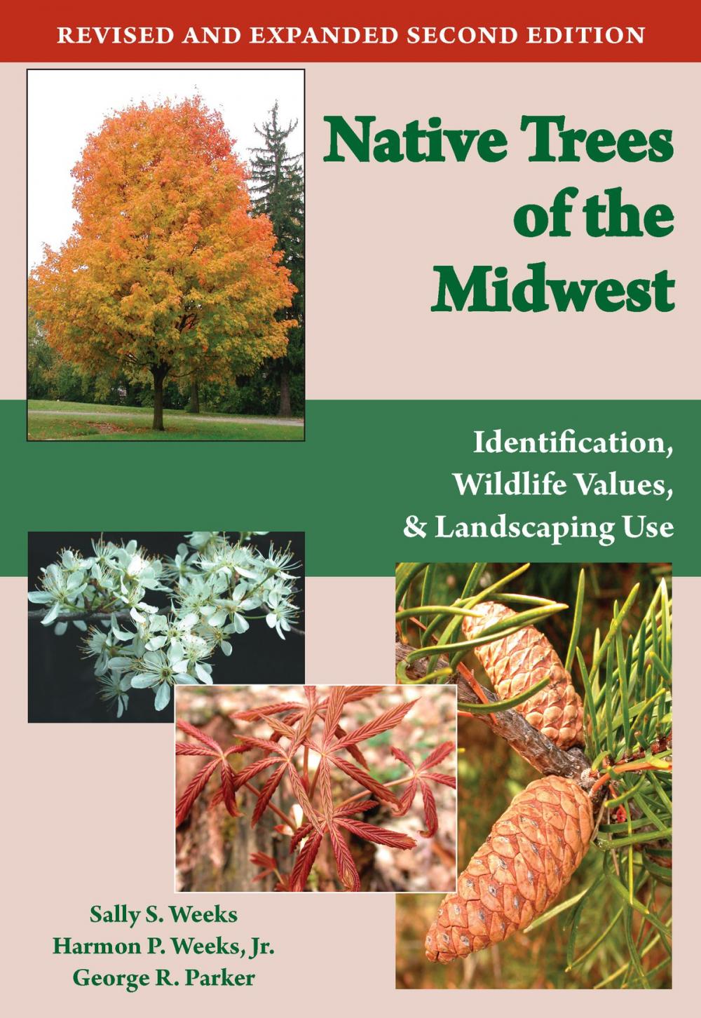 Big bigCover of Native Trees of the Midwest