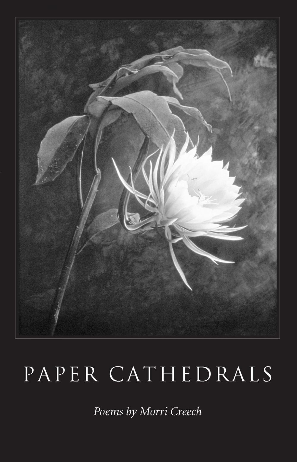 Big bigCover of Paper Cathedrals
