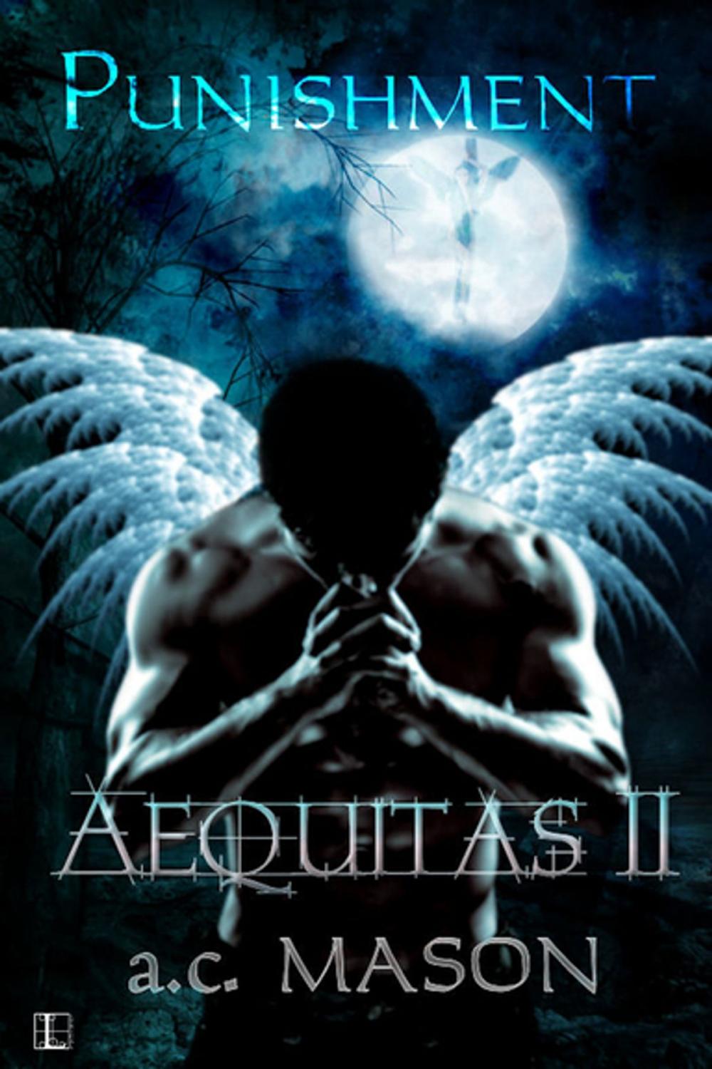 Big bigCover of Aequitas II Punishment