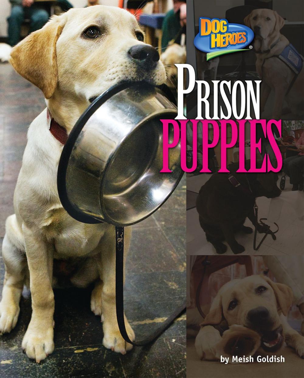 Big bigCover of Prison Puppies