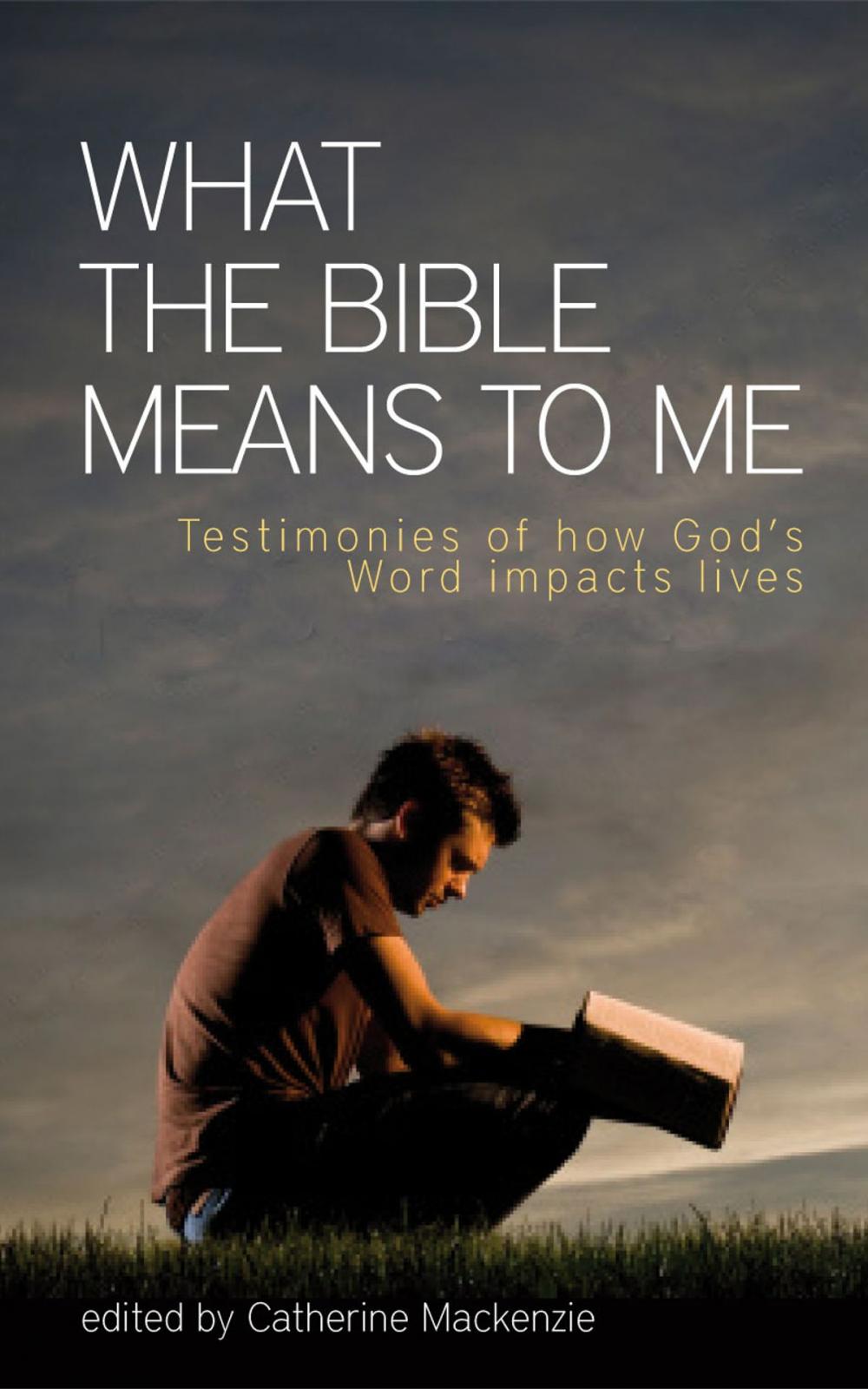 Big bigCover of What the Bible Means to Me