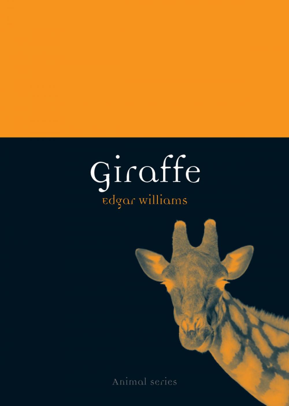 Big bigCover of Giraffe