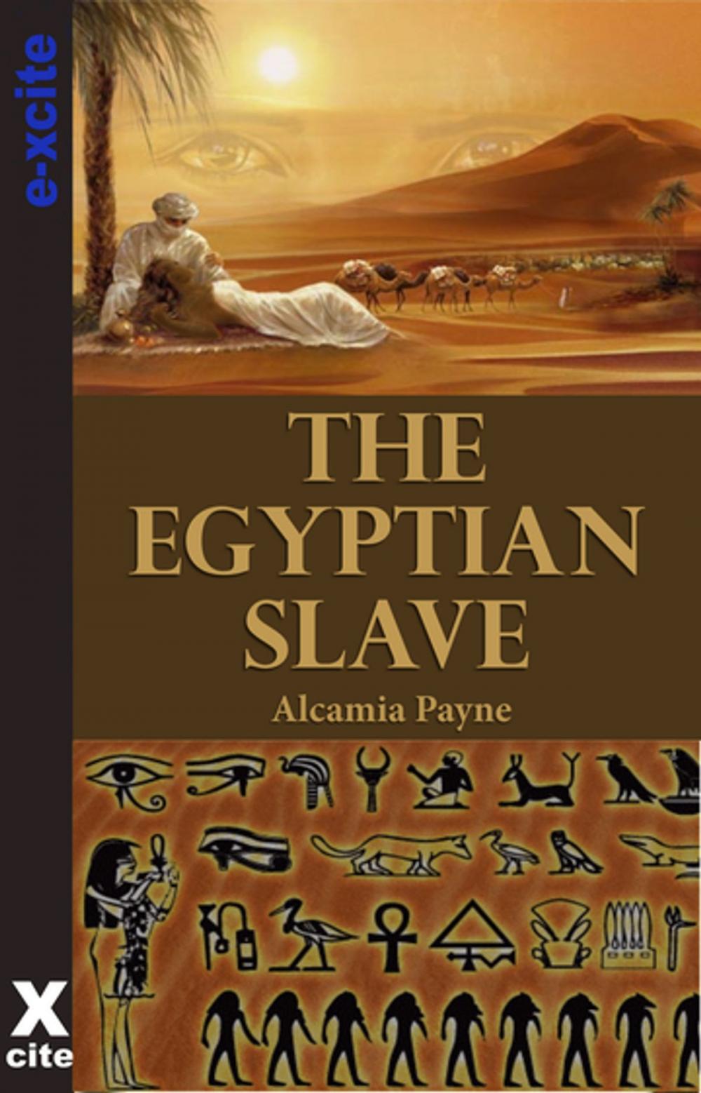 Big bigCover of The Egyptian Slave