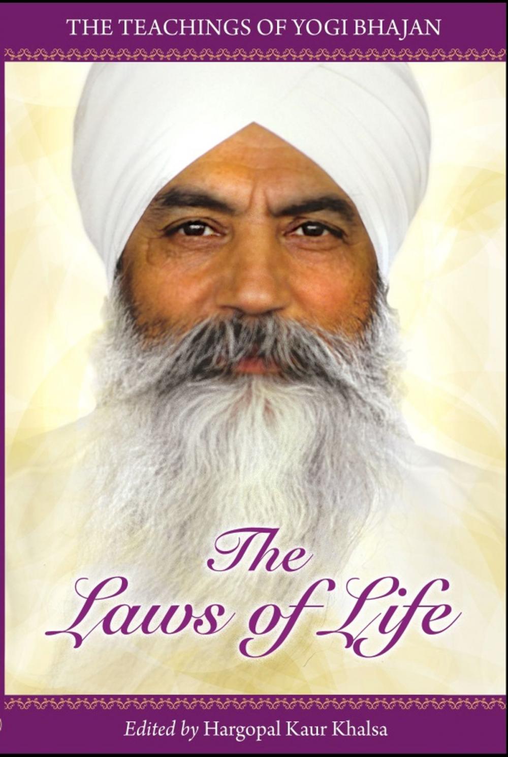 Big bigCover of The Laws of Life