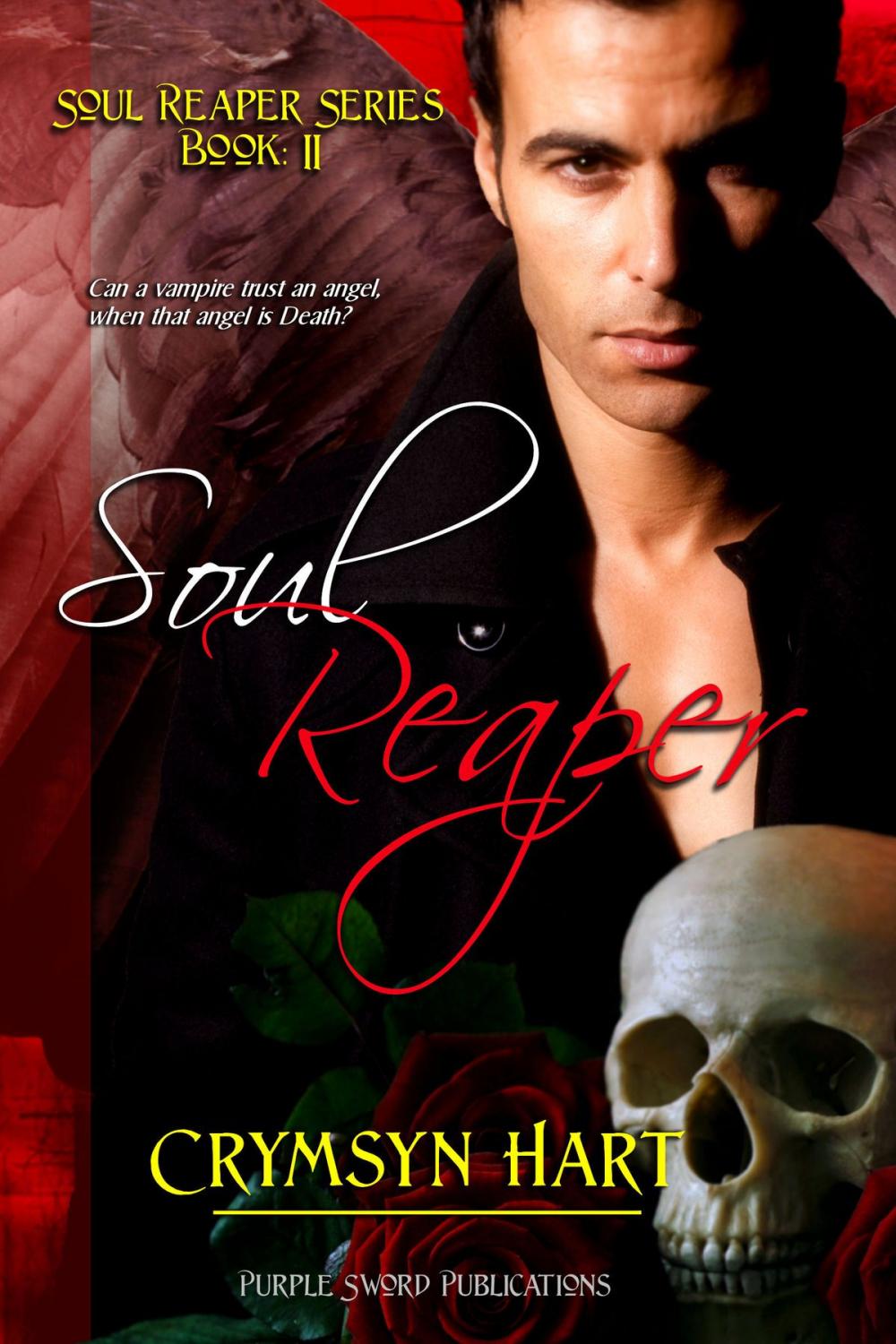 Big bigCover of Soul Reaper Series Book II: Soul Reaper