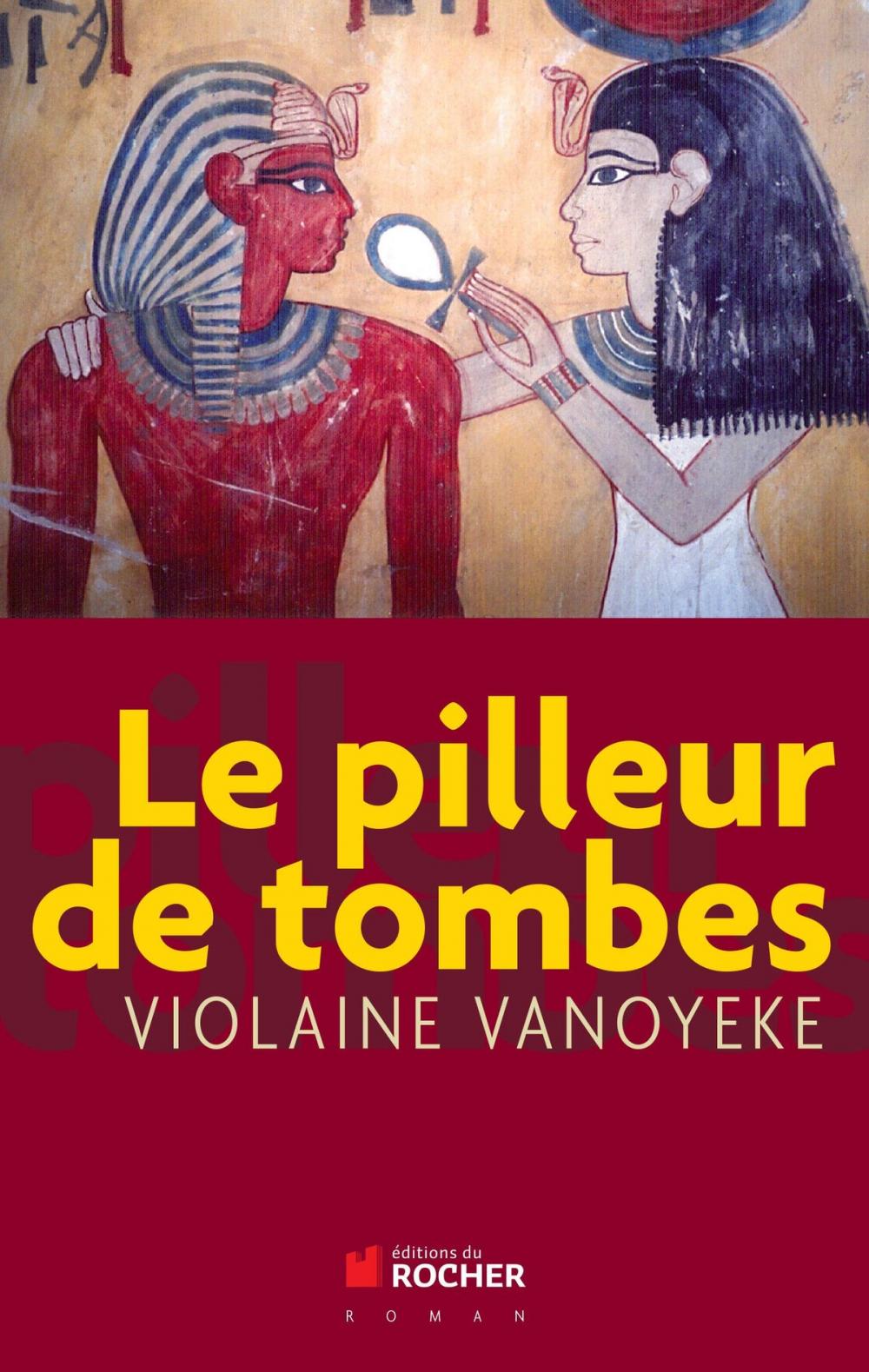 Big bigCover of Le pilleur de tombes