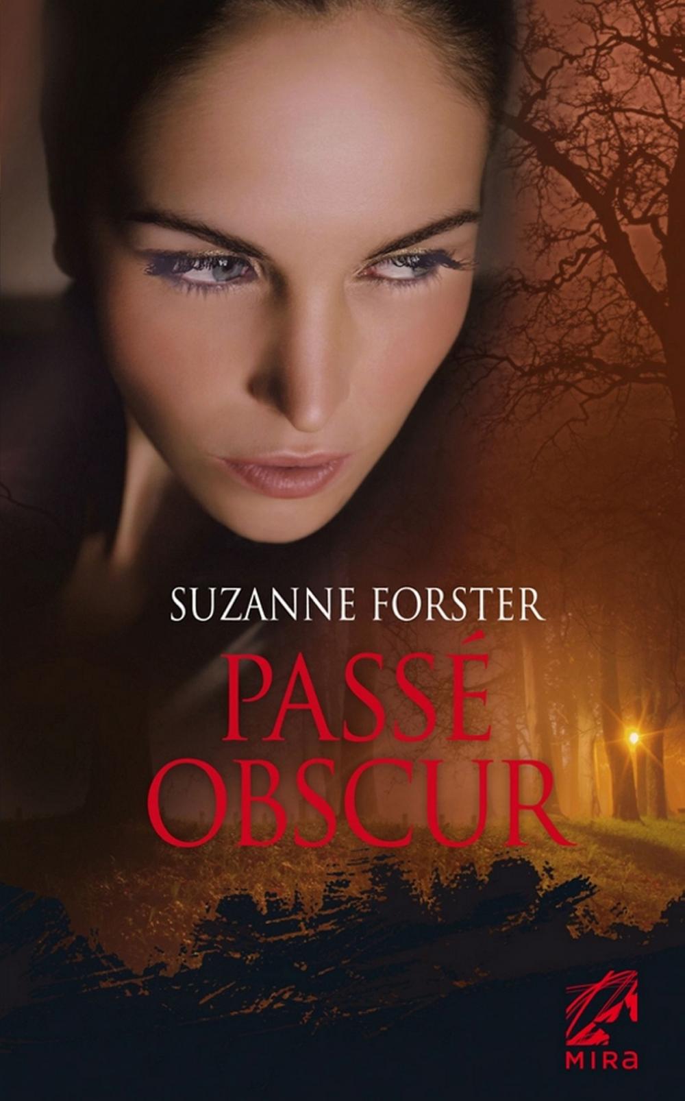 Big bigCover of Passé obscur