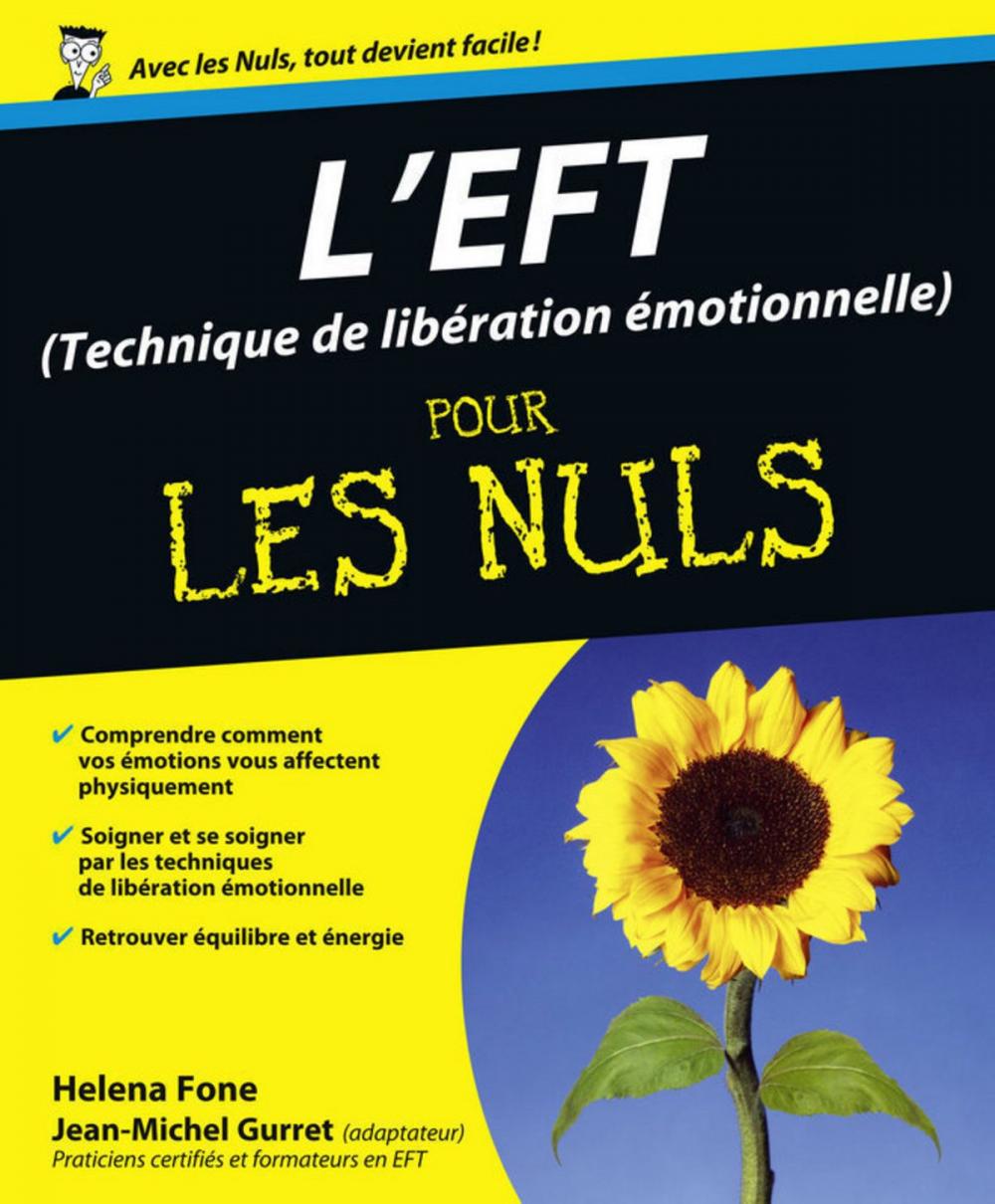 Big bigCover of L'EFT (Techniques de libération émotionnelle) Pour les Nuls