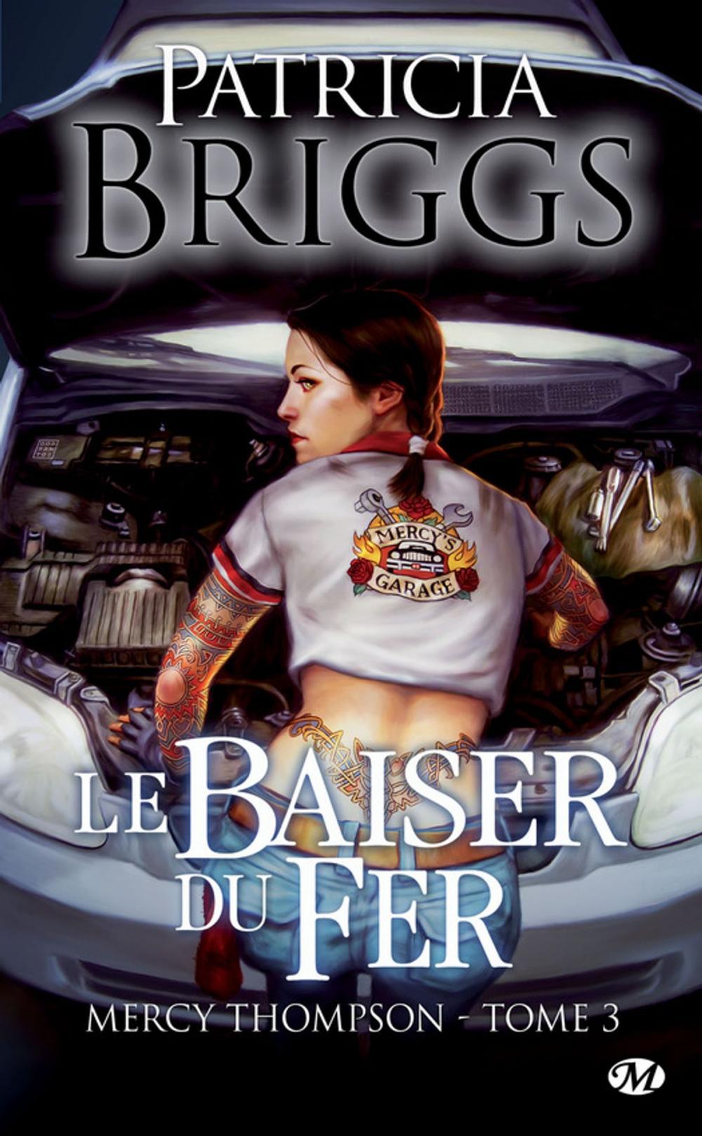 Big bigCover of Le Baiser du fer