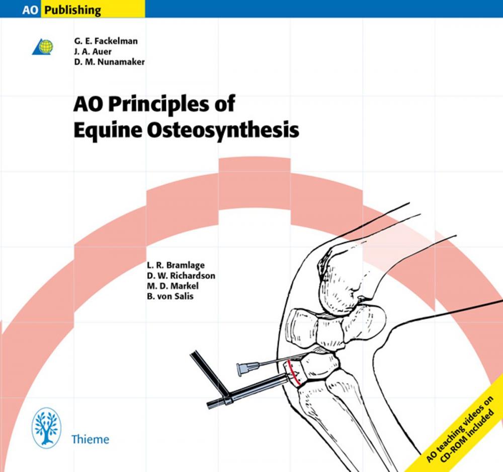 Big bigCover of Principles of Equine Osteosynthesis: Book & CD-ROM