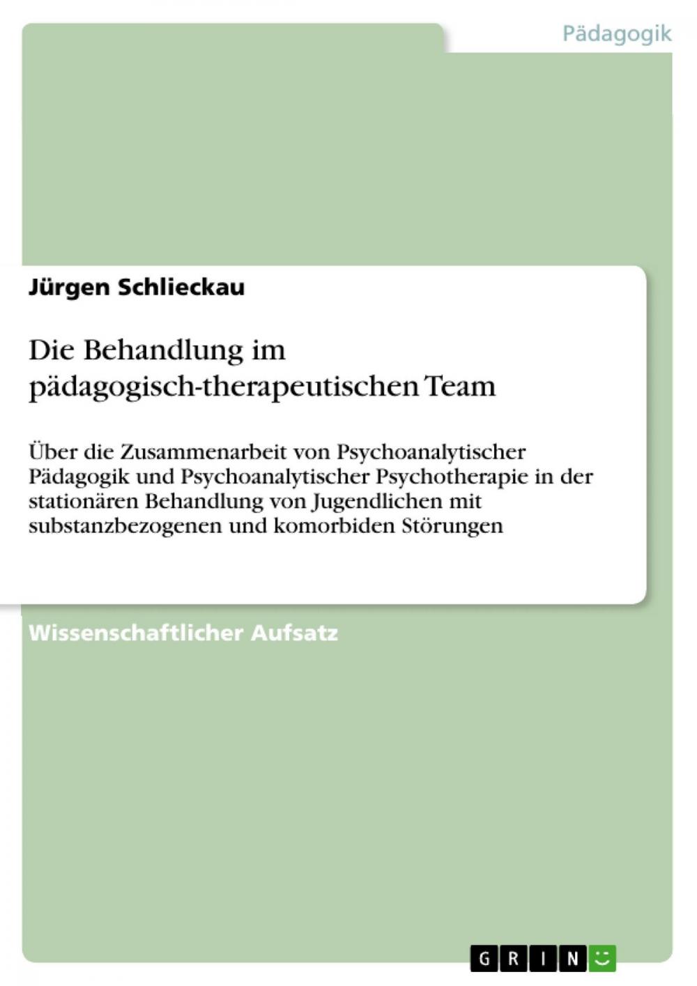 Big bigCover of Die Behandlung im pädagogisch-therapeutischen Team