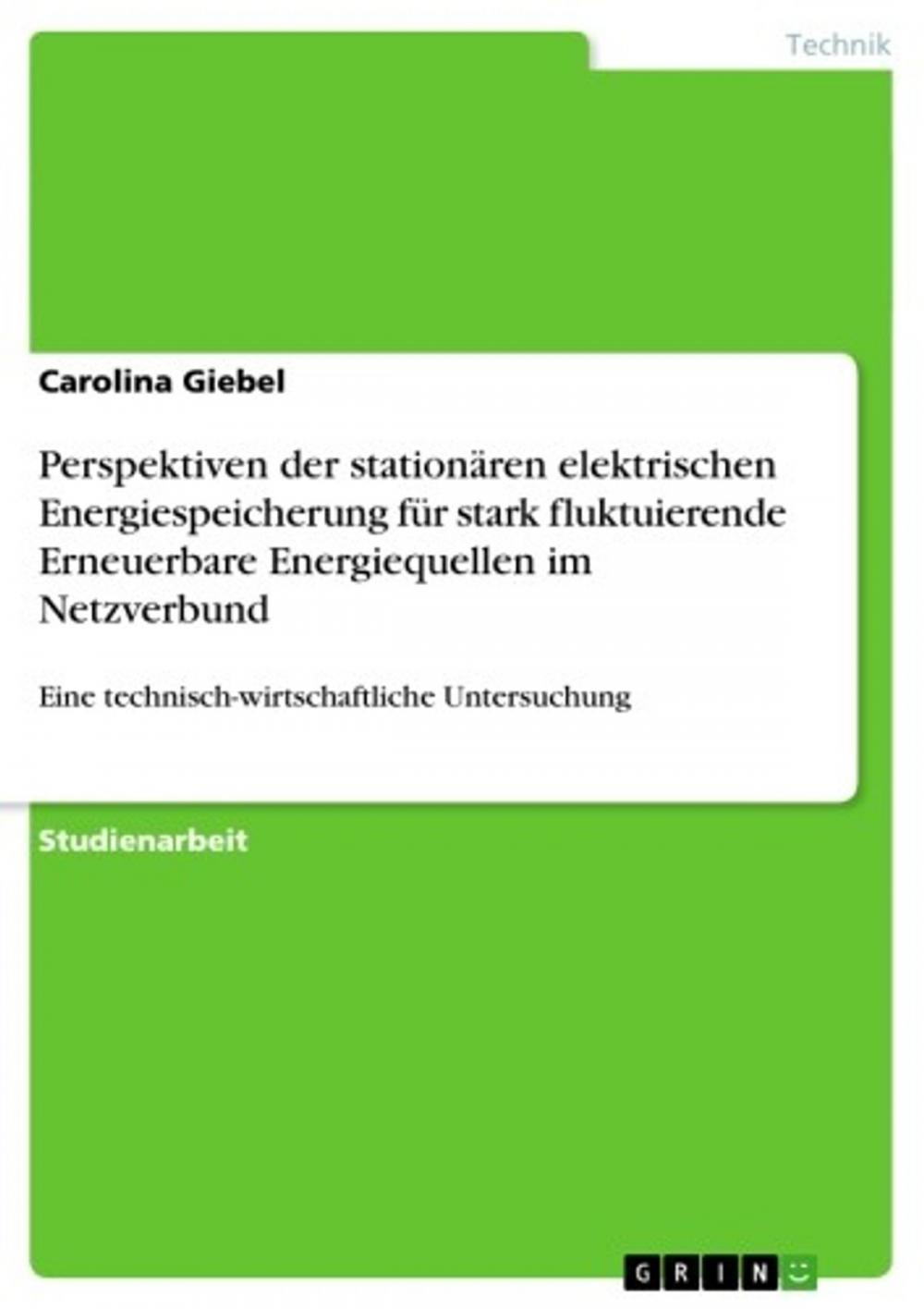 Big bigCover of Perspektiven der stationären elektrischen Energiespeicherung für stark fluktuierende Erneuerbare Energiequellen im Netzverbund