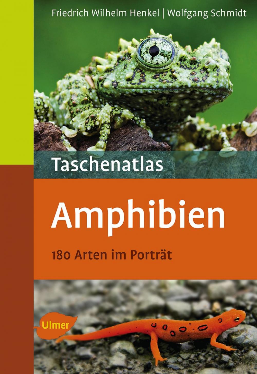 Big bigCover of Taschenatlas Amphibien