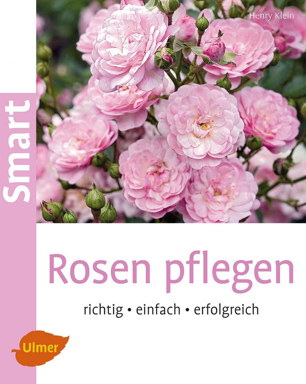 Big bigCover of Rosen pflegen