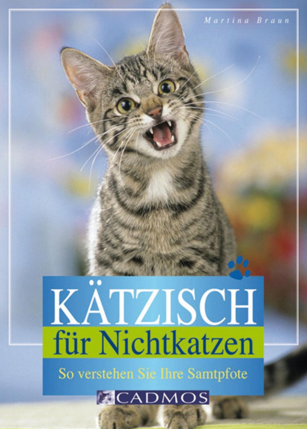 Big bigCover of Kätzisch für Nichtkatzen