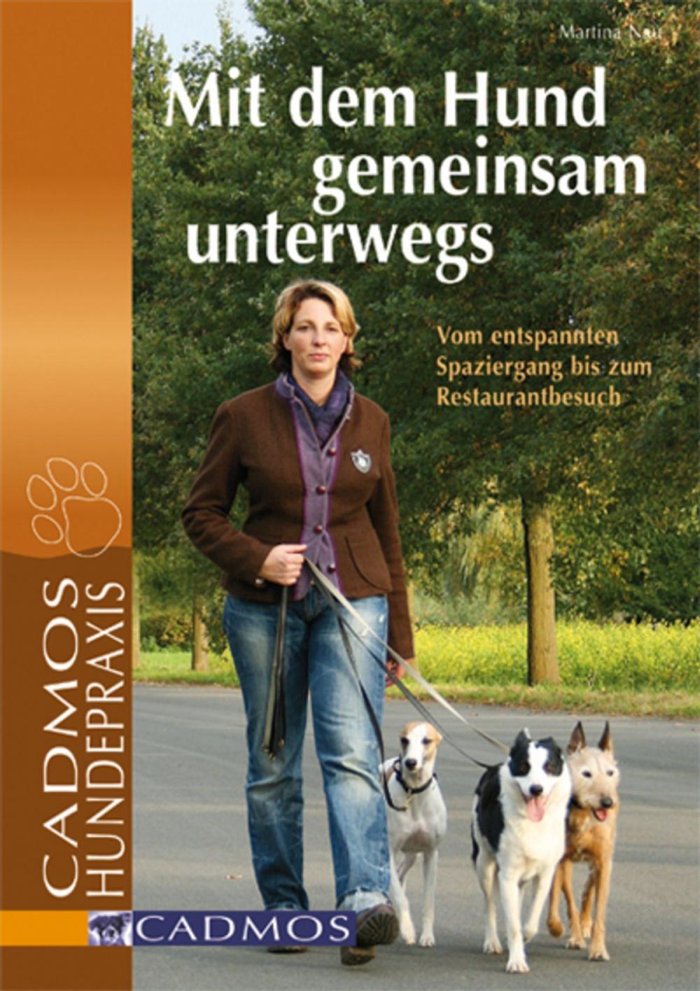 Big bigCover of Mit dem Hund gemeinsam unterwegs