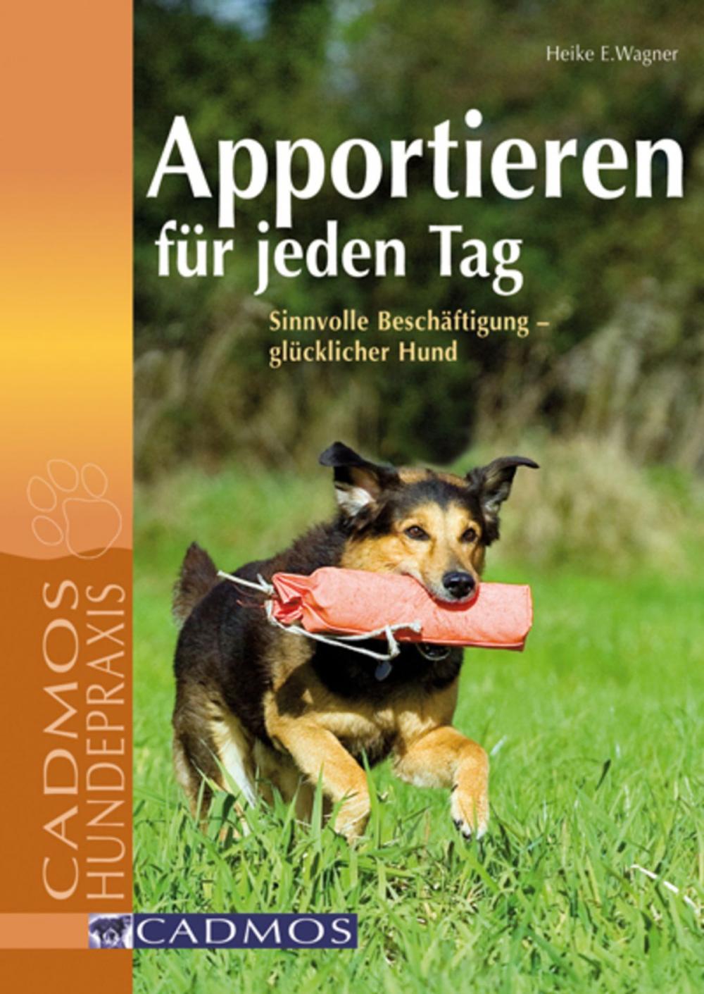 Big bigCover of Apportieren für jeden Tag