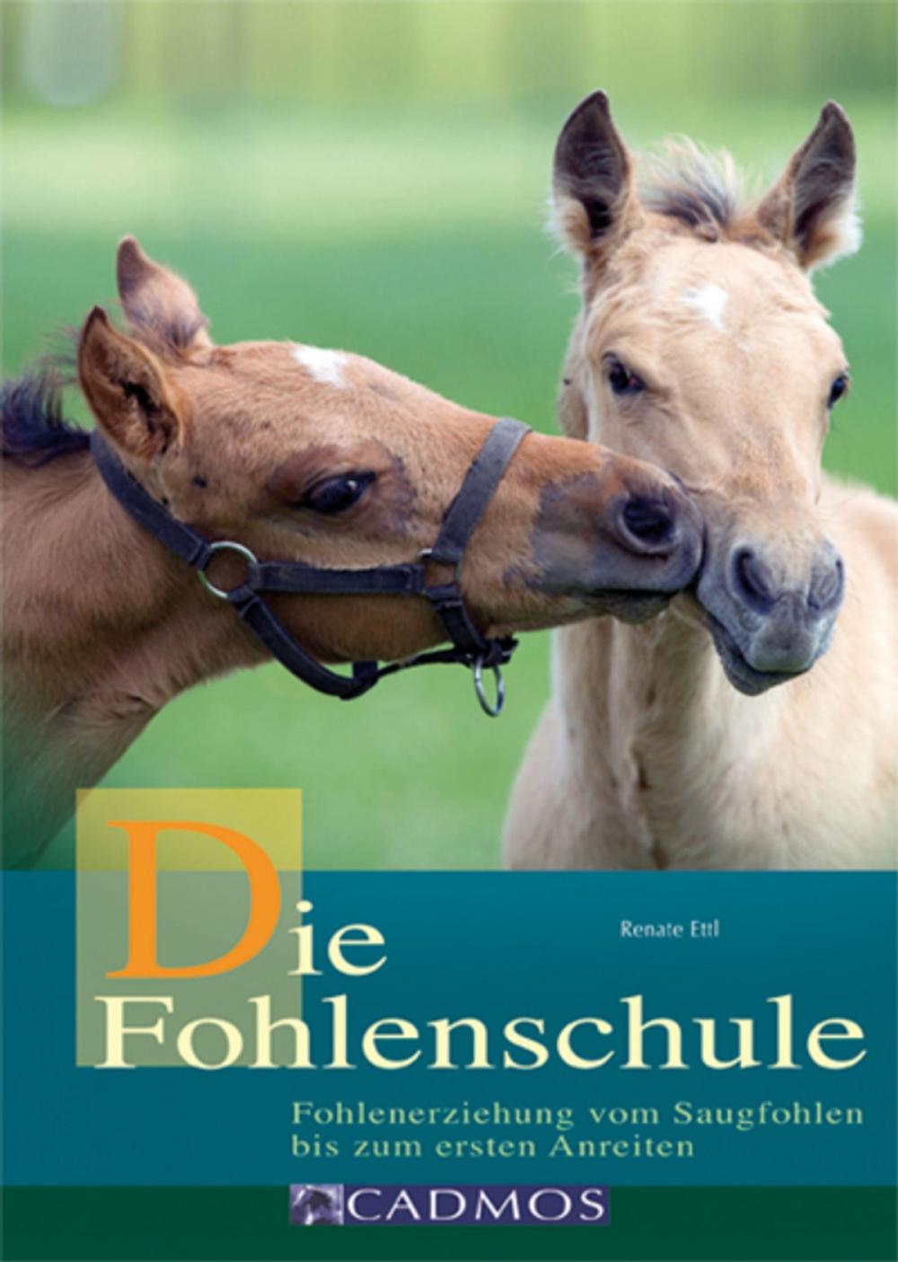 Big bigCover of Die Fohlenschule