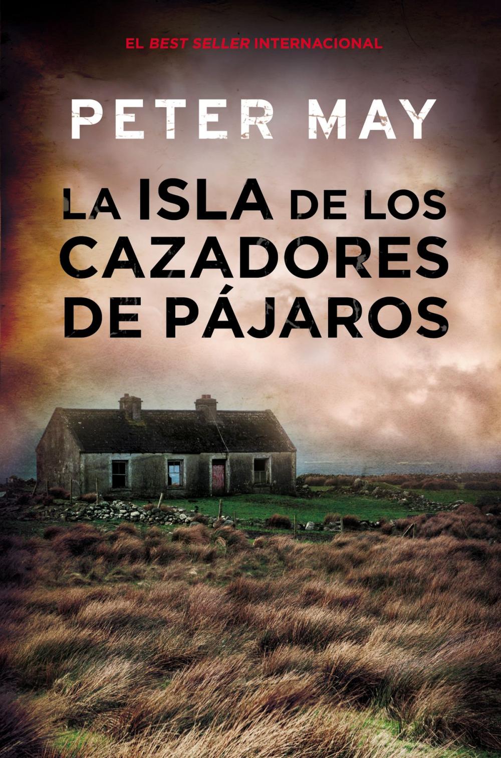 Big bigCover of La isla de los cazadores de pájaros (Trilogía de Lewis 1)