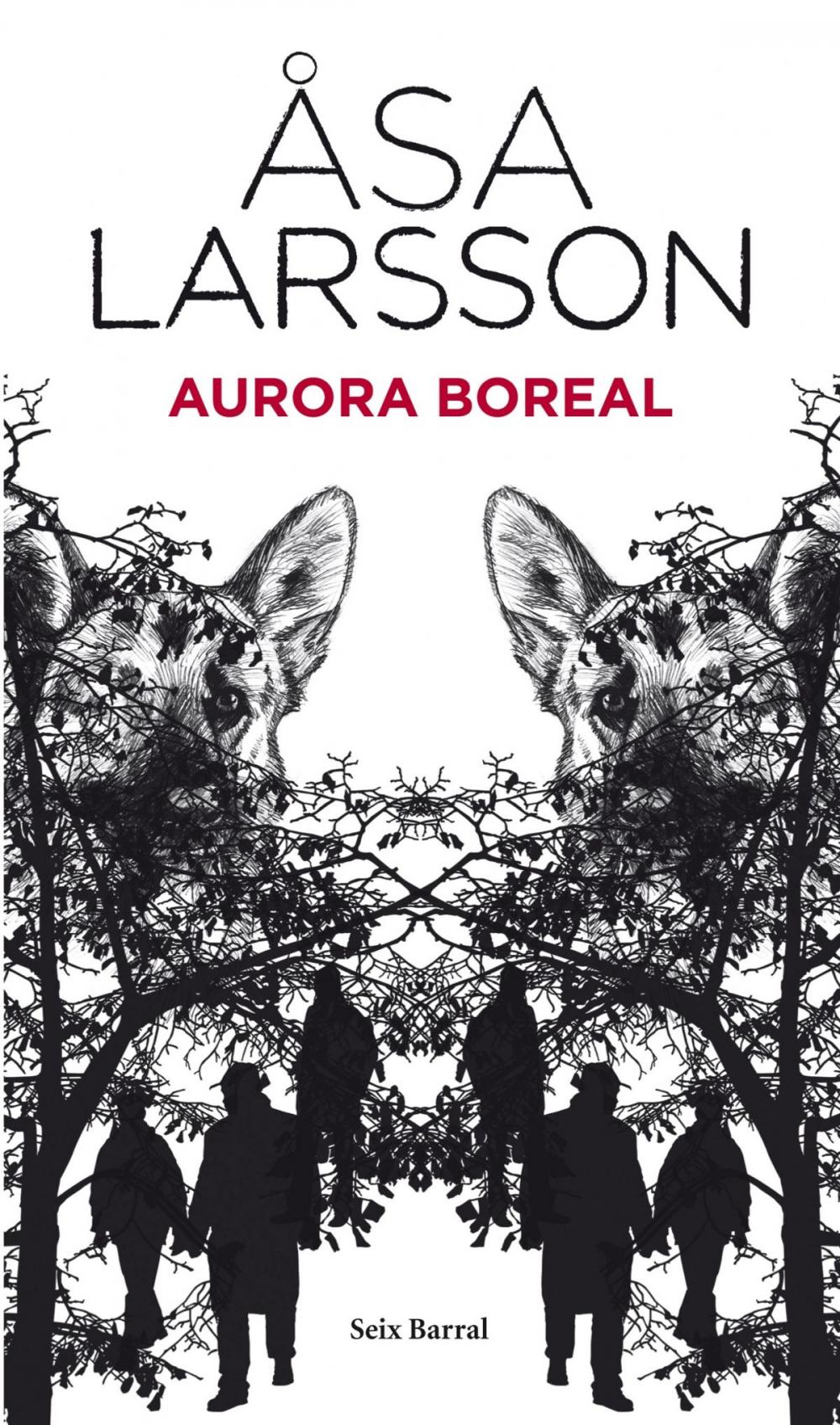 Big bigCover of Aurora boreal