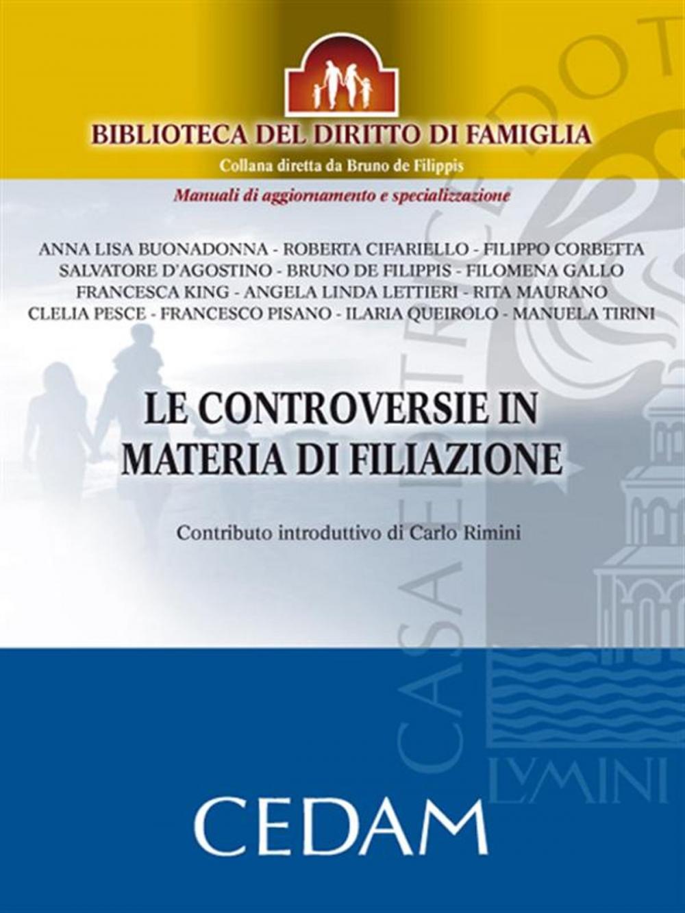 Big bigCover of Le controversie in materia di filiazione