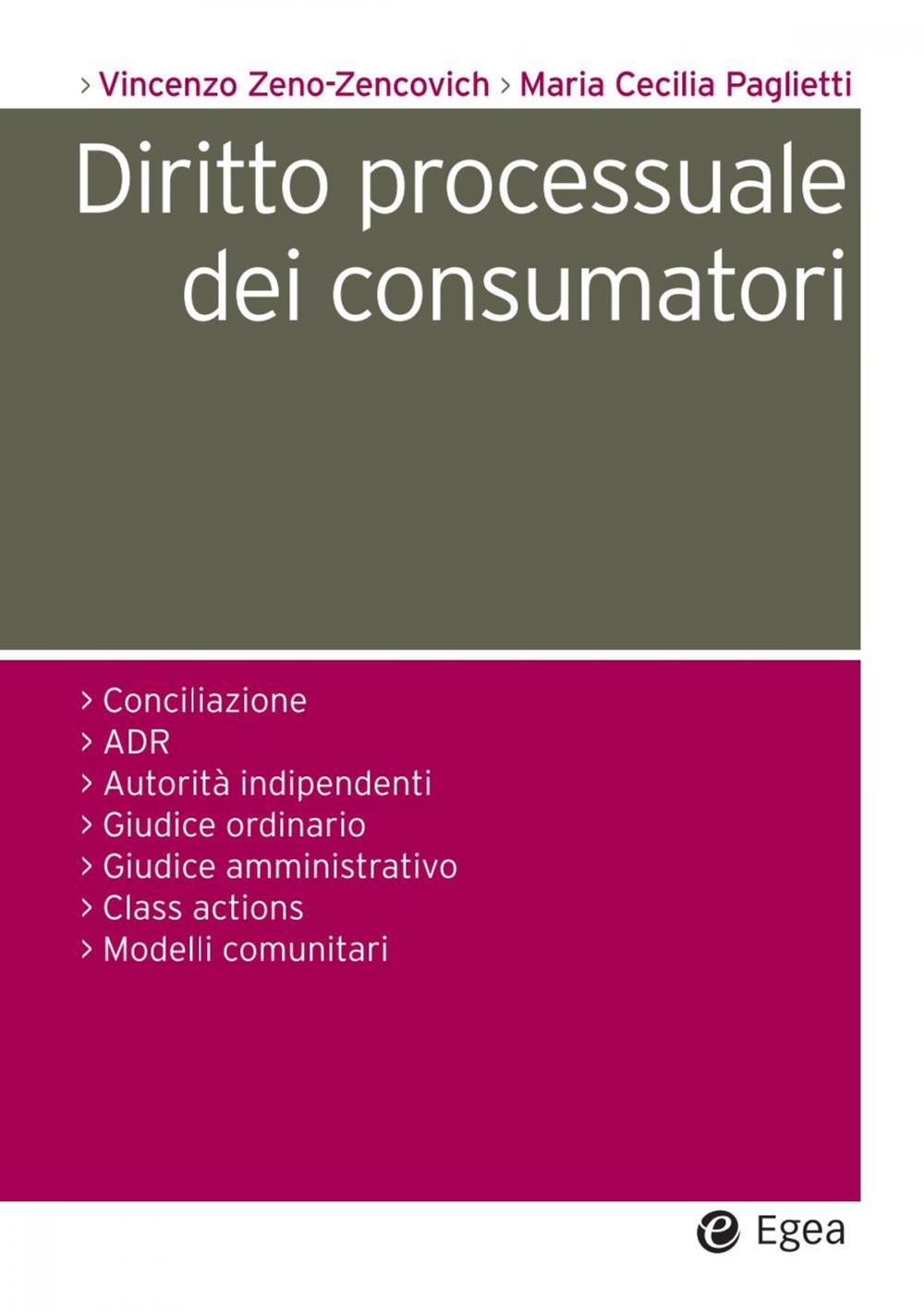 Big bigCover of Diritto processuale dei consumatori