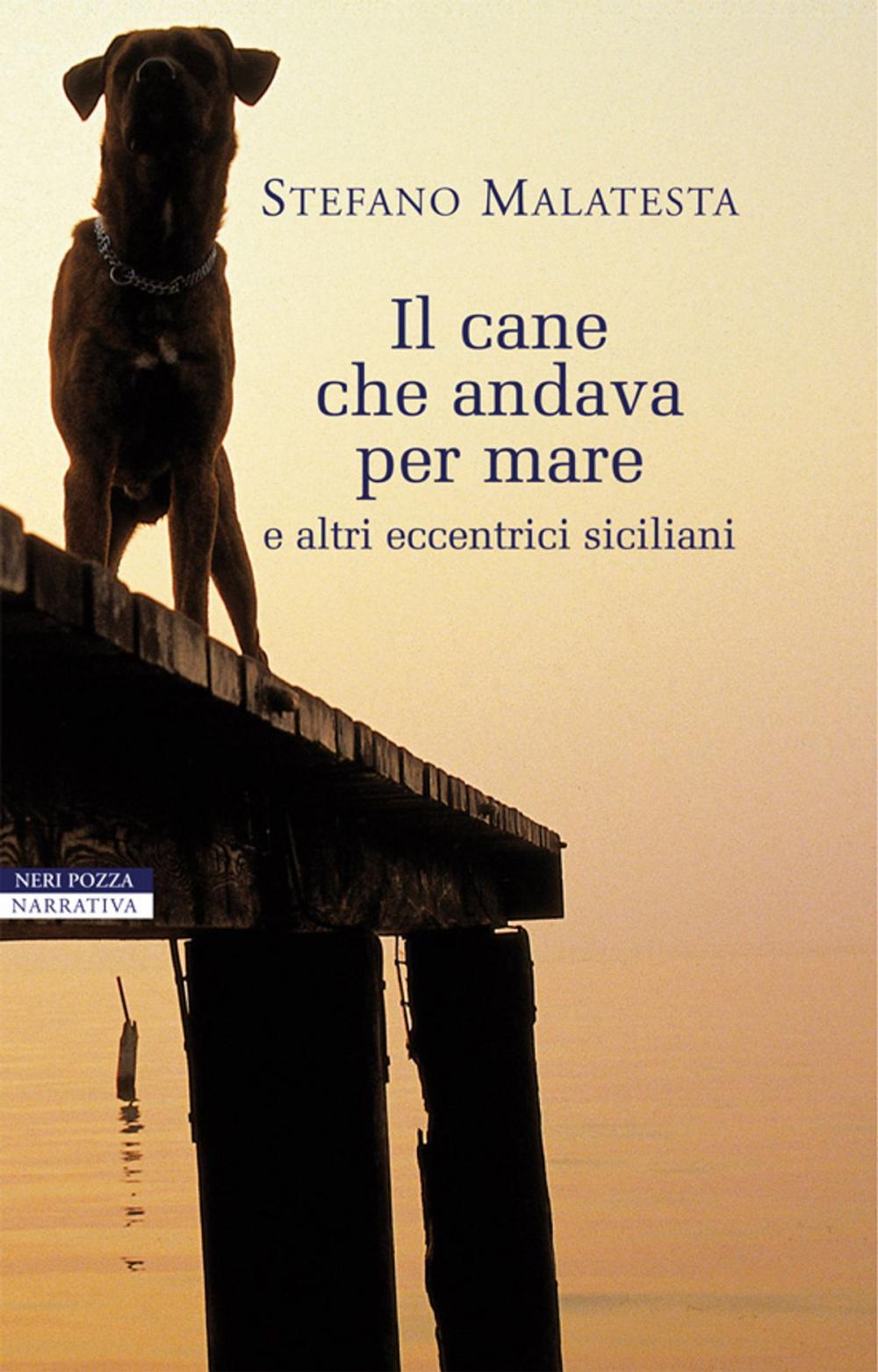 Big bigCover of Il cane che andava per mare