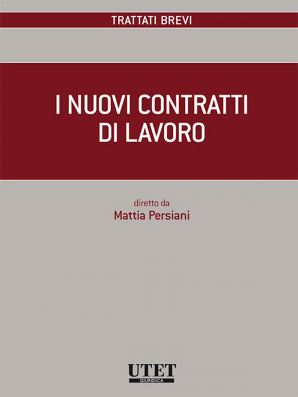 Big bigCover of I nuovi contratti di lavoro