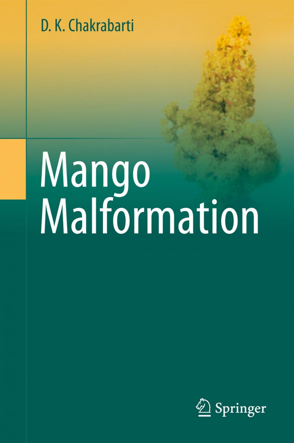 Big bigCover of Mango Malformation