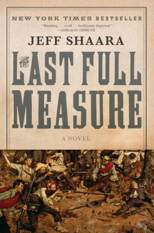 Cover of the book The Last Full Measure by Elizabeth Berg