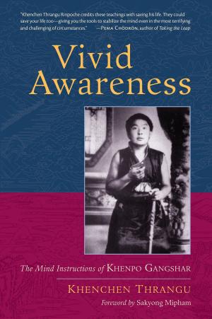Cover of the book Vivid Awareness by Dzigar Kongtrul, Joseph Waxman