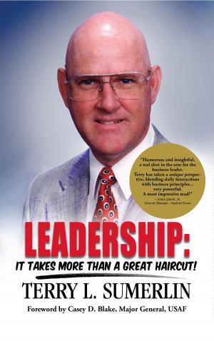 Book cover of Leadership: It Takes More Than a Great Haircut!