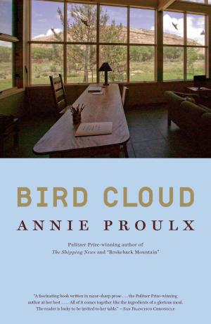 Cover of the book Bird Cloud by Anita Diamant